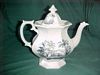 Teapot DOMESTIC pattern 9½" high James Edwards